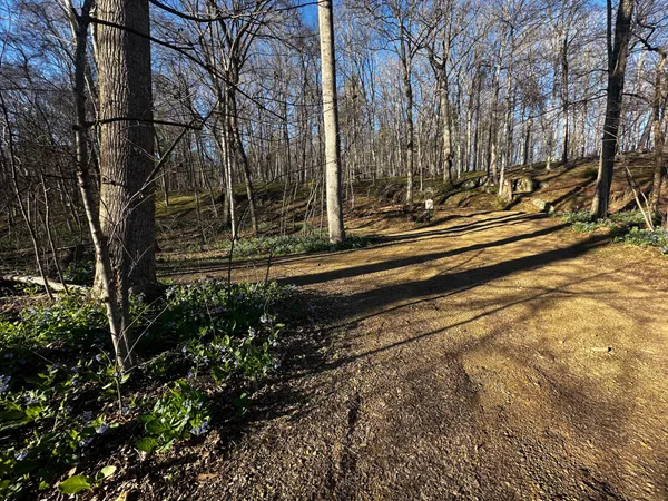 $49,900 | Crossings View Rd Road, Paw Paw, WV 25434