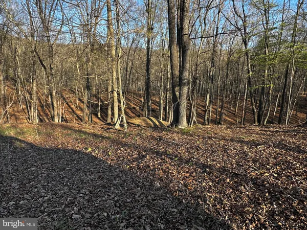 $49,900 | Crossings View Rd Road, Paw Paw, WV 25434