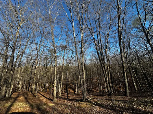 $49,900 | Crossings View Rd Road, Paw Paw, WV 25434