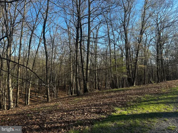 $49,900 | Crossings View Rd Road, Paw Paw, WV 25434