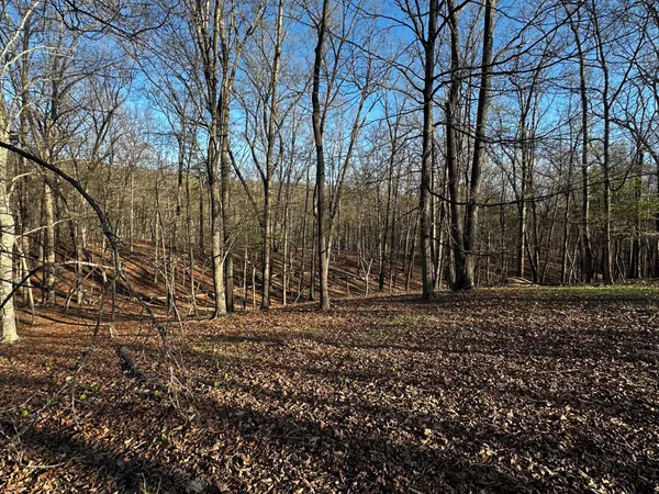 $49,900 | Crossings View Rd Road, Paw Paw, WV 25434