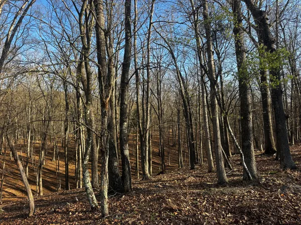 $49,900 | Crossings View Rd Road, Paw Paw, WV 25434