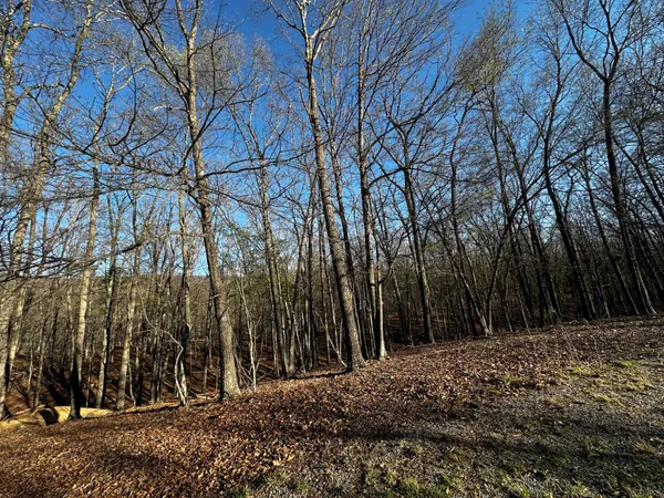 $49,900 | Crossings View Rd Road, Paw Paw, WV 25434