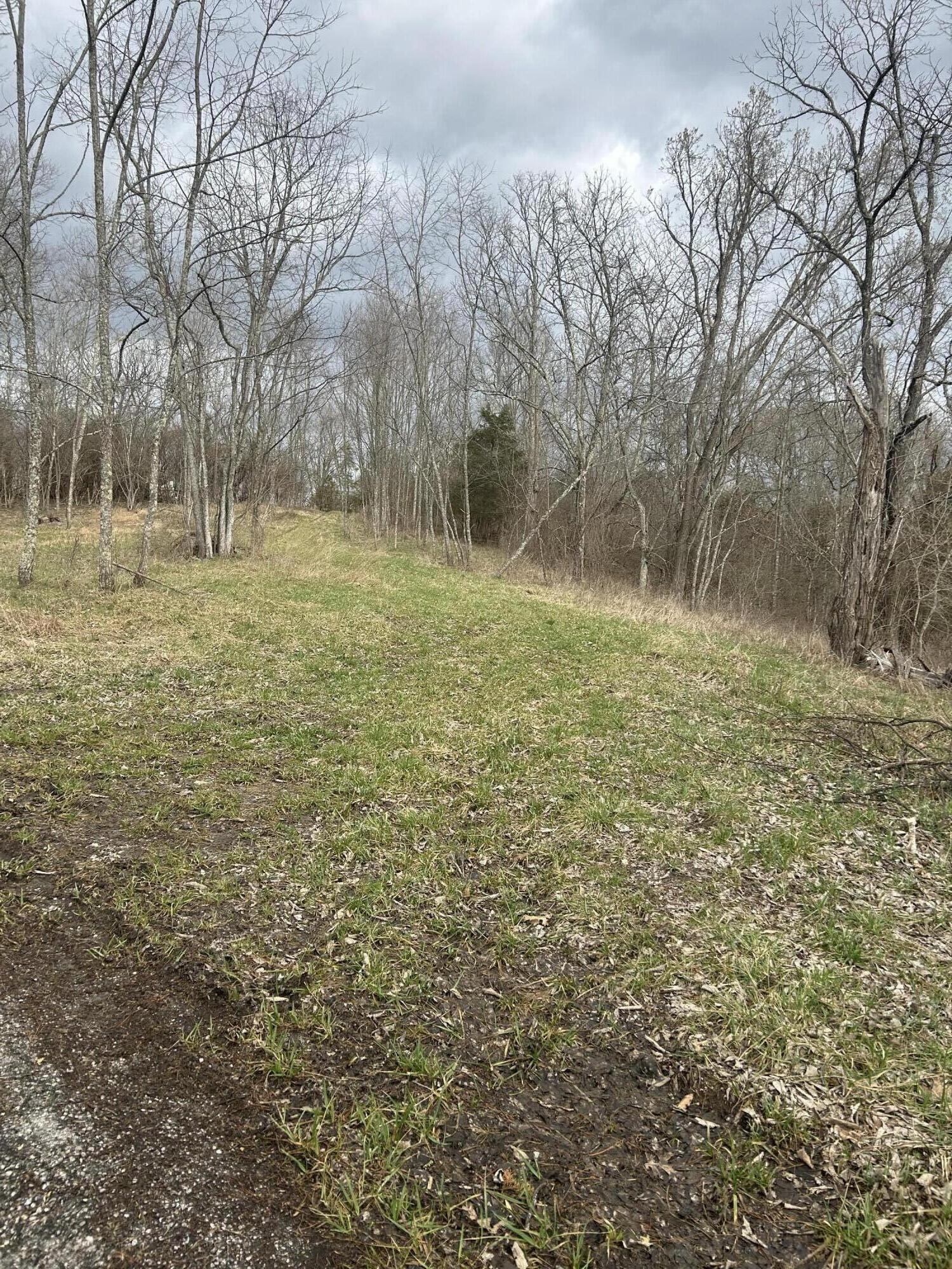 Lot # New Zion Road Falmouth, KY 41040 - Photo 9 of 9