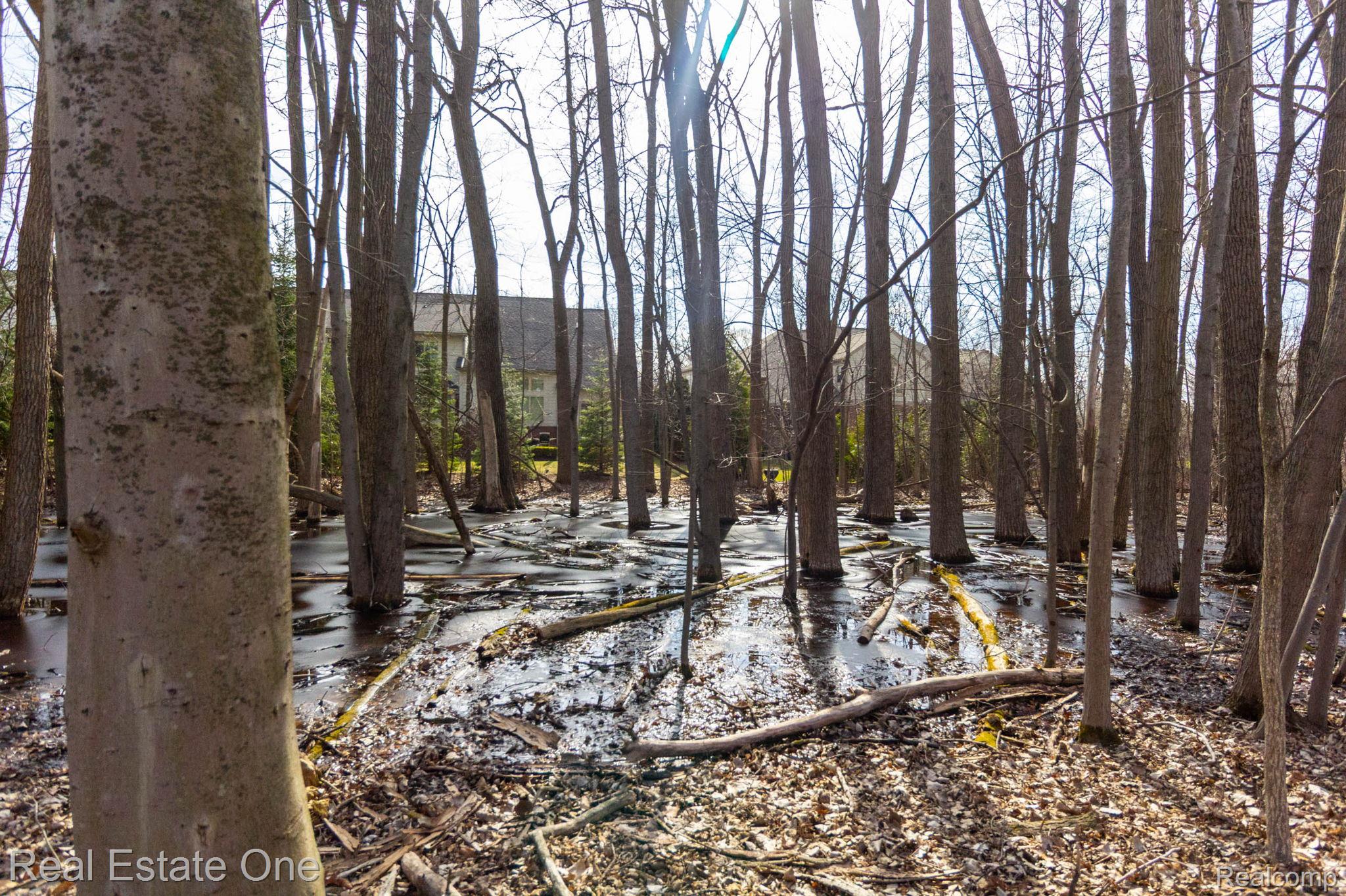 3585 Winding Brk Circle, Unit 89 Rochester, MI 48309 - Photo 51 of 59 View of nature
