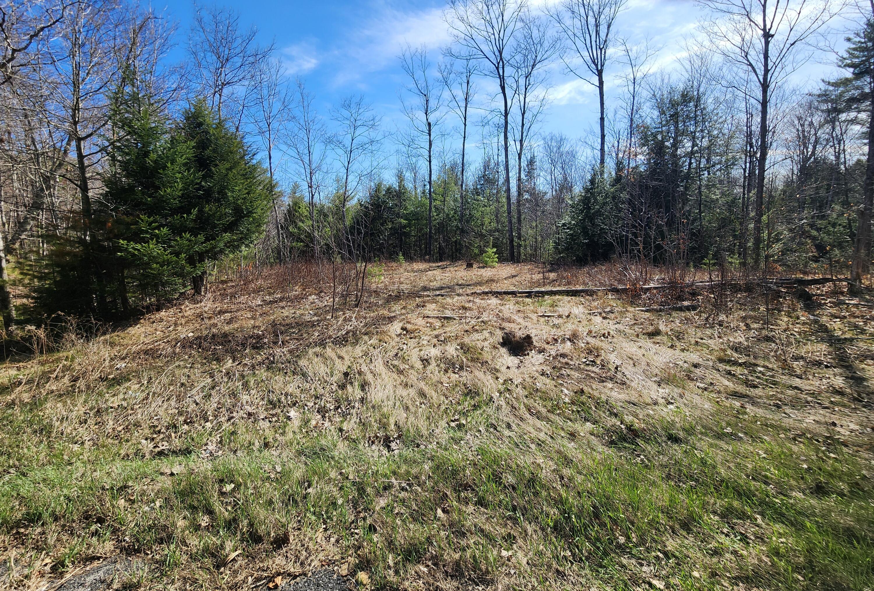 0 Madison Road Norridgewock, ME 04957 - Photo 1 of 11 Flat spot near road