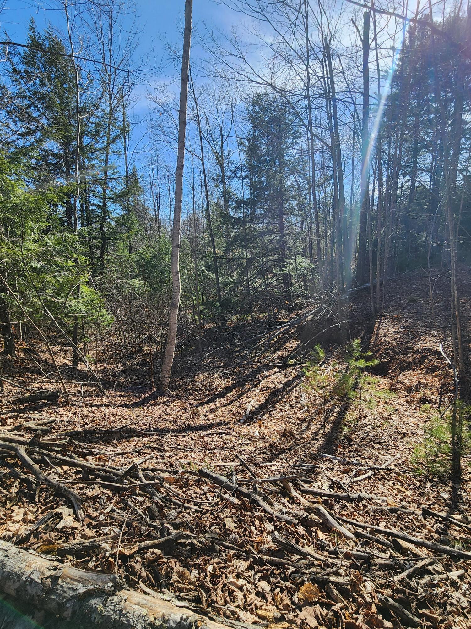 0 Madison Road Norridgewock, ME 04957 - Photo 11 of 11 20260428_155702