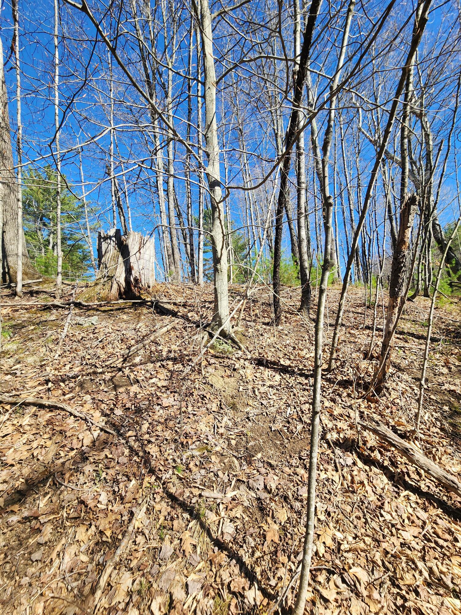 0 Madison Road Norridgewock, ME 04957 - Photo 5 of 11 20260428_155216