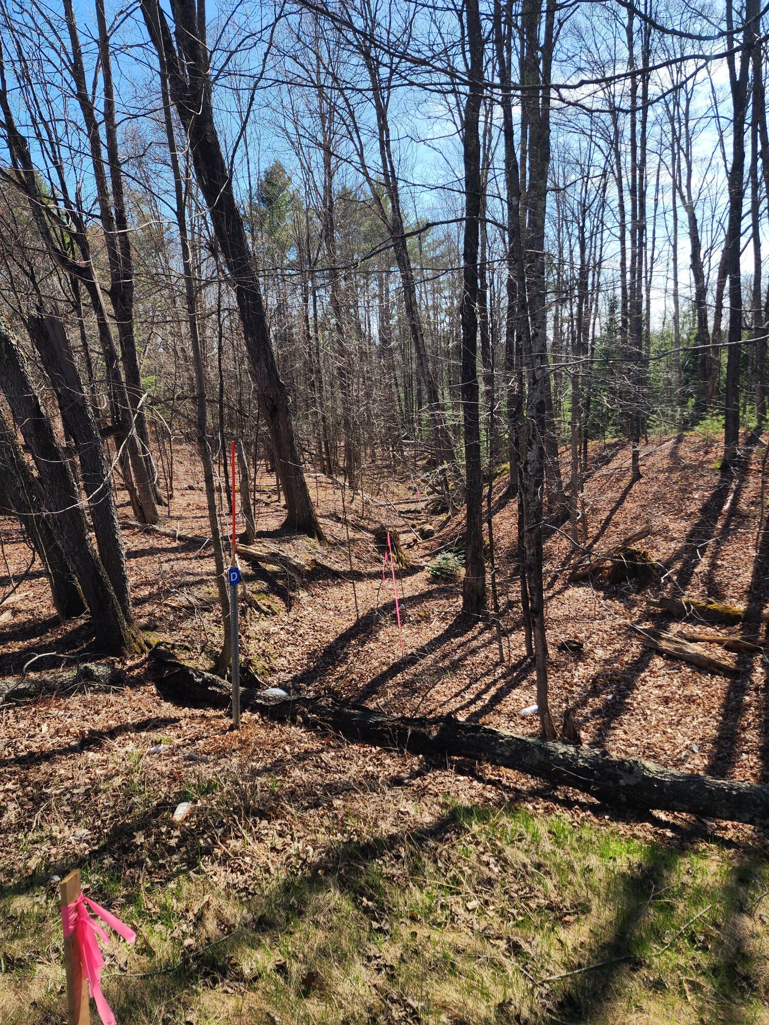 0 Madison Road Norridgewock, ME 04957 - Photo 6 of 11 20260428_154608