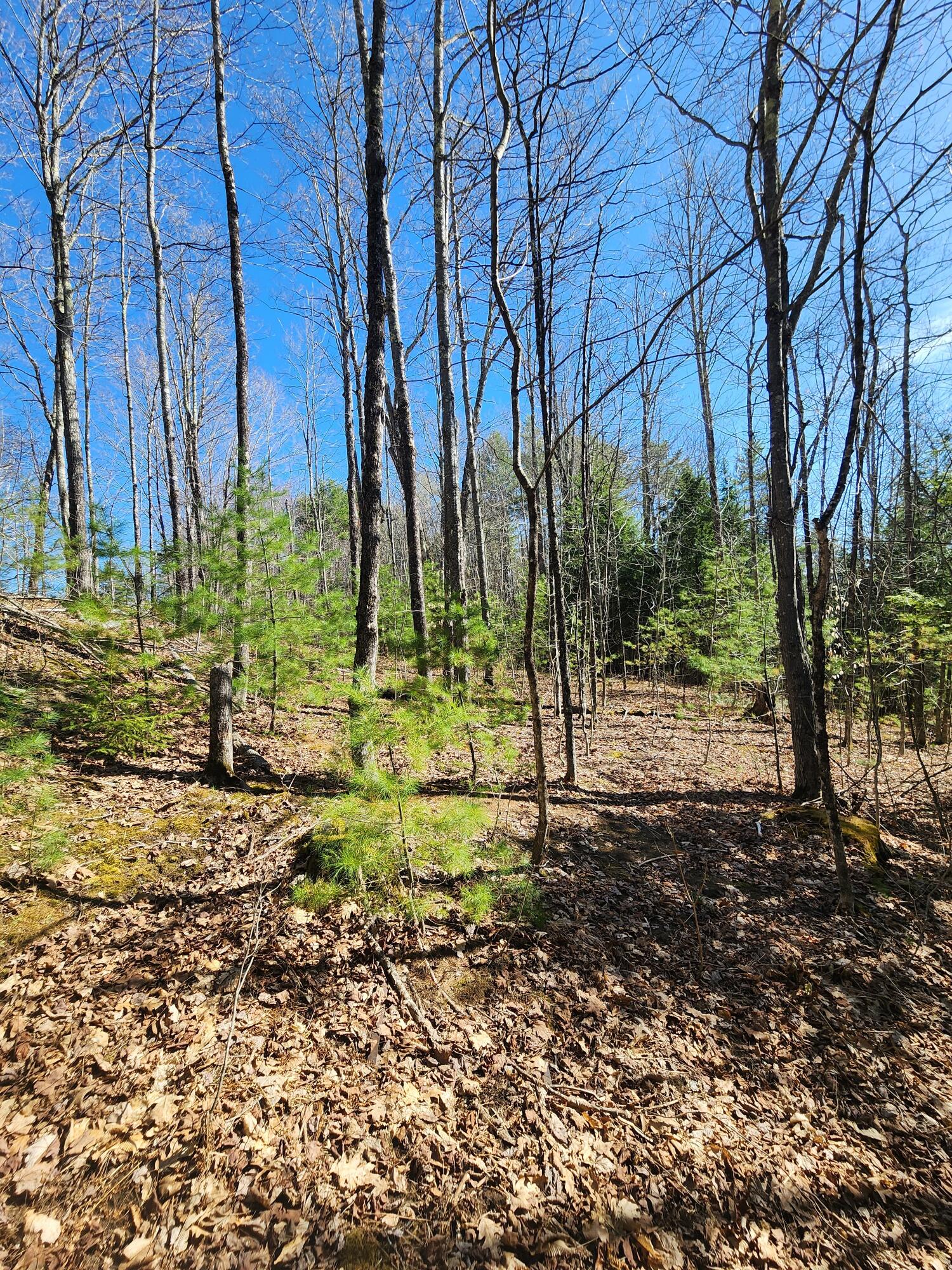 0 Madison Road Norridgewock, ME 04957 - Photo 7 of 11 20260428_155117