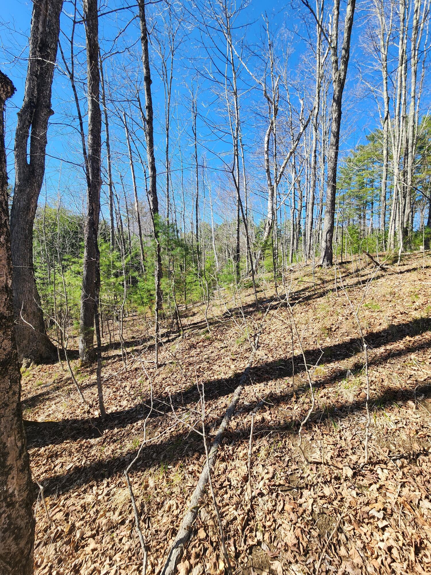 0 Madison Road Norridgewock, ME 04957 - Photo 8 of 11 20260428_154743 (1)