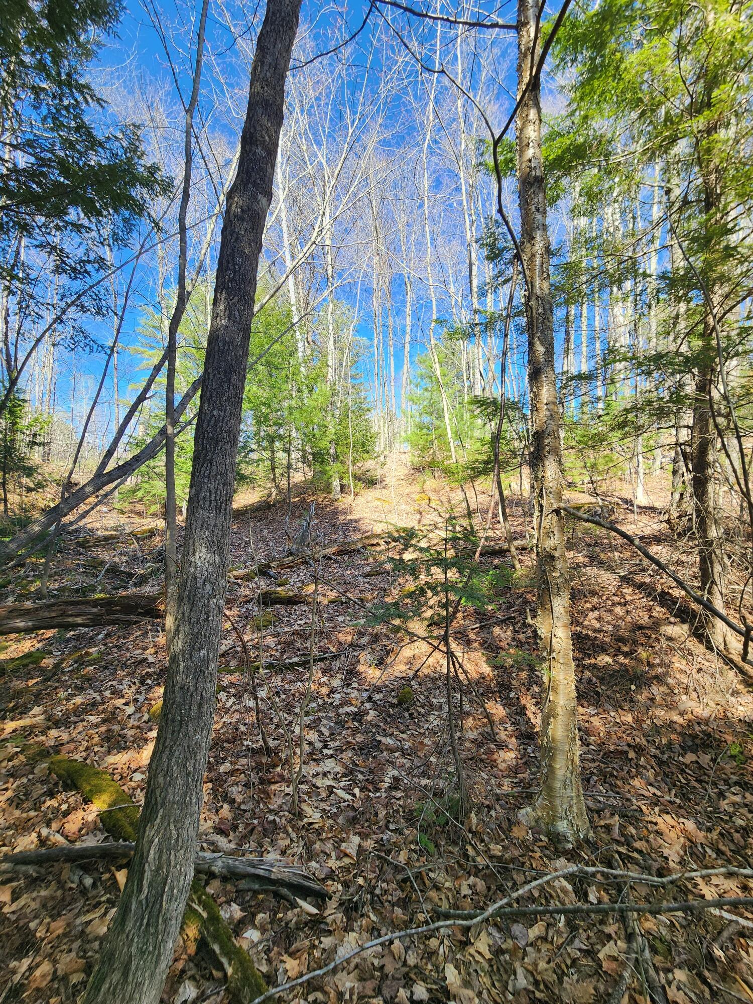 0 Madison Road Norridgewock, ME 04957 - Photo 9 of 11 20260428_155022