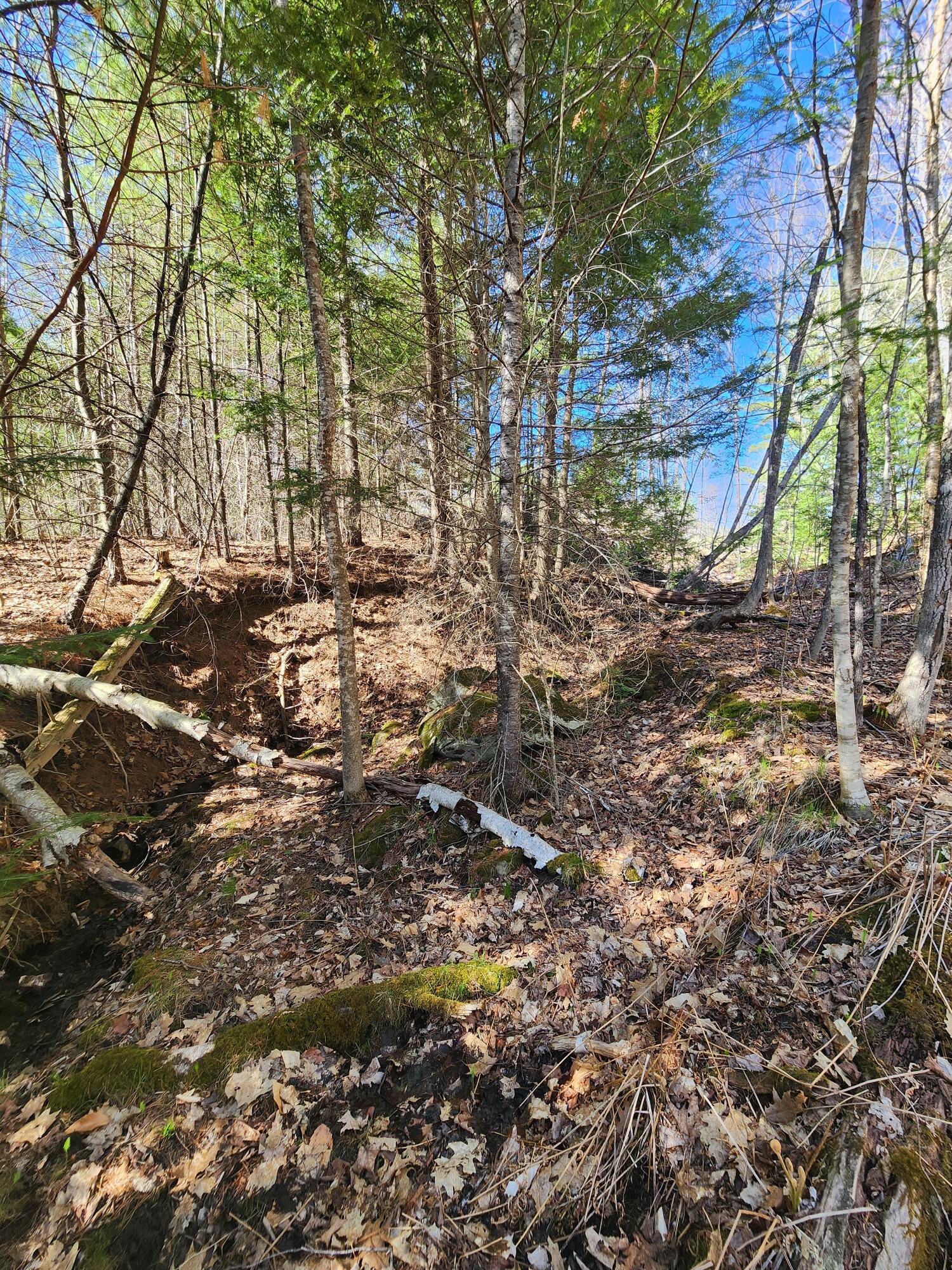 0 Madison Road Norridgewock, ME 04957 - Photo 10 of 11 20260428_154942