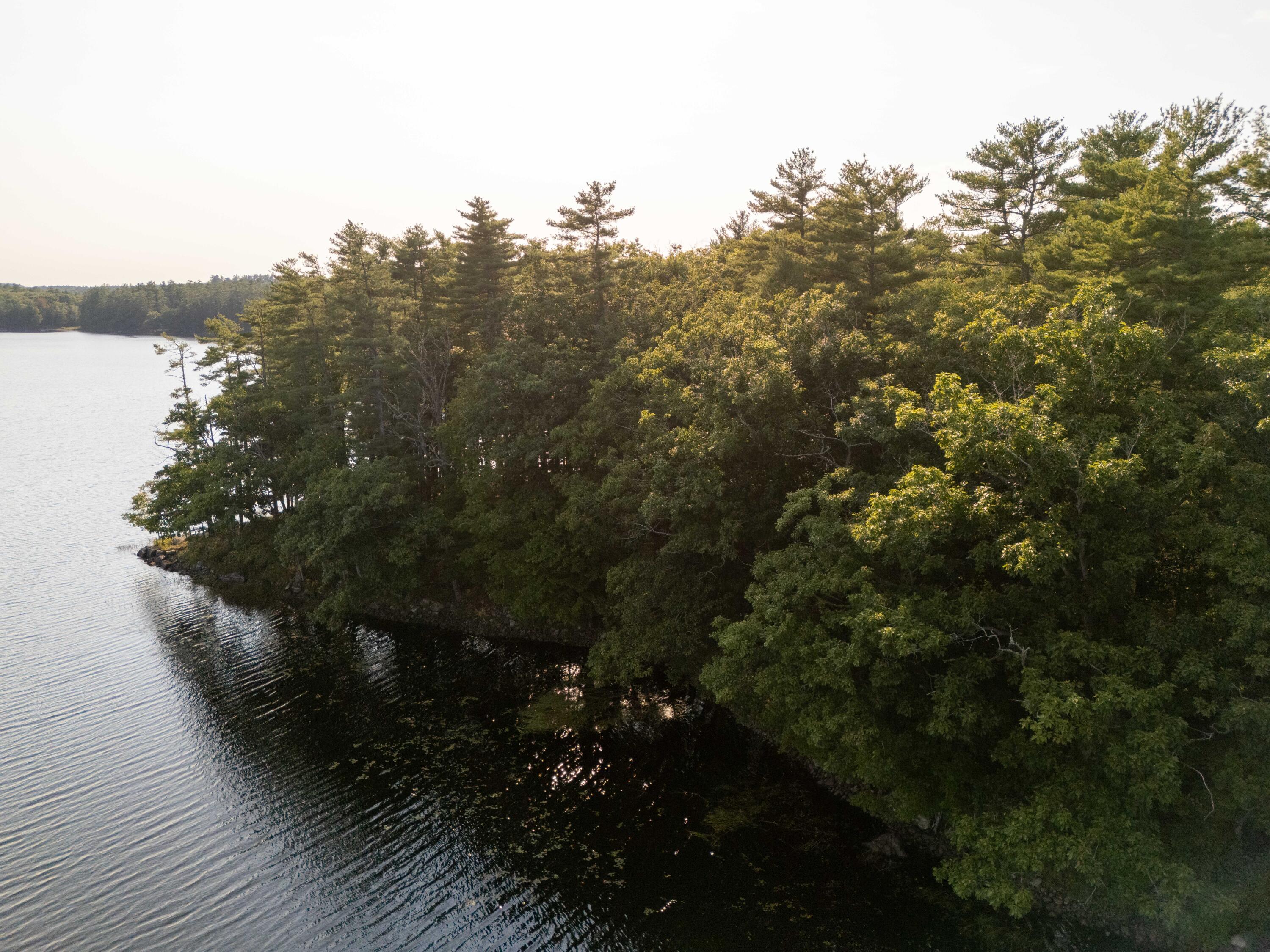 320 Hinks Road Jefferson, ME 04348 - Photo 51 of 61 320 Hinks Rd-66