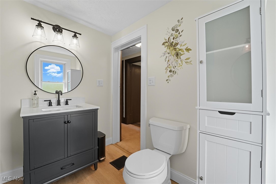 10536 Johnnycake Ridge Road Painesville, OH 44077 - Photo 19 of 40 Half bathroom featuring vanity, light wood finished floors, and a textured ceiling