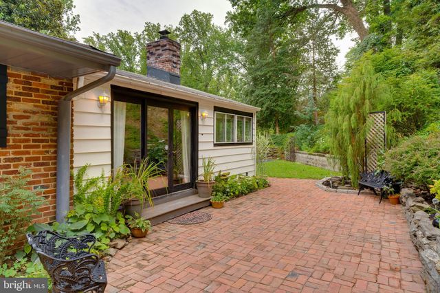 a view of a backyard with plants and a garden