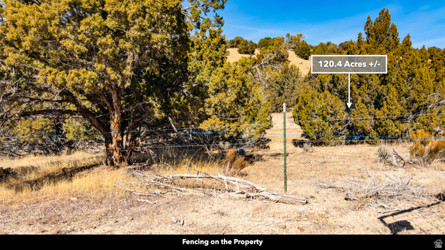 0 County Road 28 Levan, UT 84639 - Photo 39 of 207