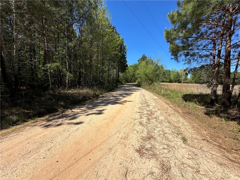 Lot J2 Seaboard Lane Hatchechubbee, AL 36858 - Photo 9 of 13 Gallery Image 9