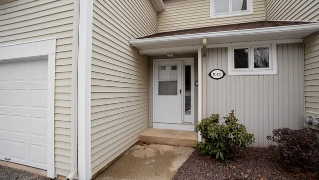 a view of front door and potted plants