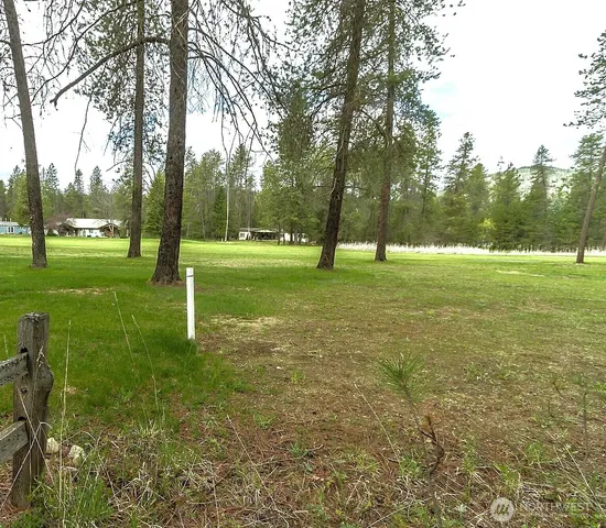 a view of a trees in a park
