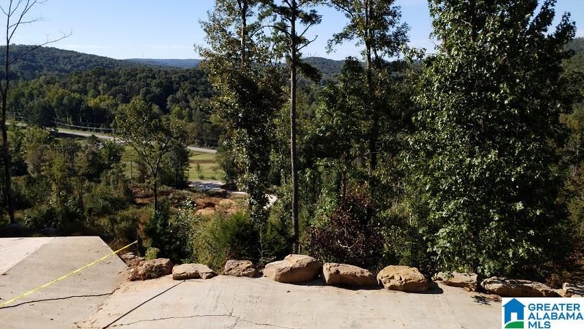 115 Tidmore Lane Oneonta, AL 35121 - Photo 22 of 32