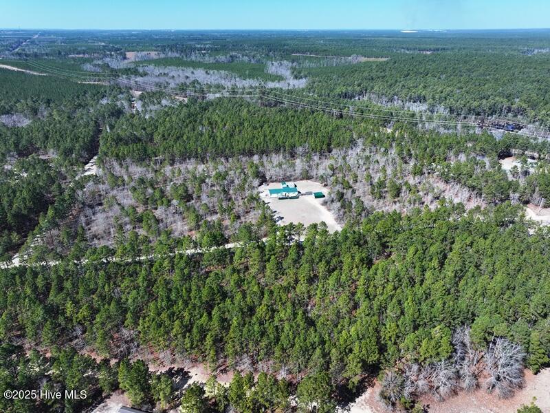 Tbd Boondocks Road Laurel Hill, NC 28351 - Photo 5 of 11 DJI_20250225140411_0449_D