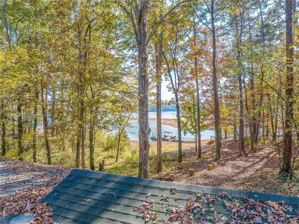 132 Piney Ridge Road Martin, GA 30557 - Photo 14 of 23 Gallery Image 14