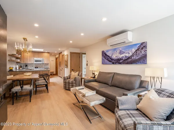 $22,000 | 205 East Durant Avenue, Unit 3J, Aspen, CO 81611