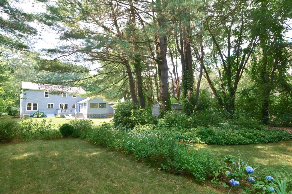 41 Eaton Road Framingham, MA 01701 - Photo 38 of 42 a view of a big yard with plants and large trees