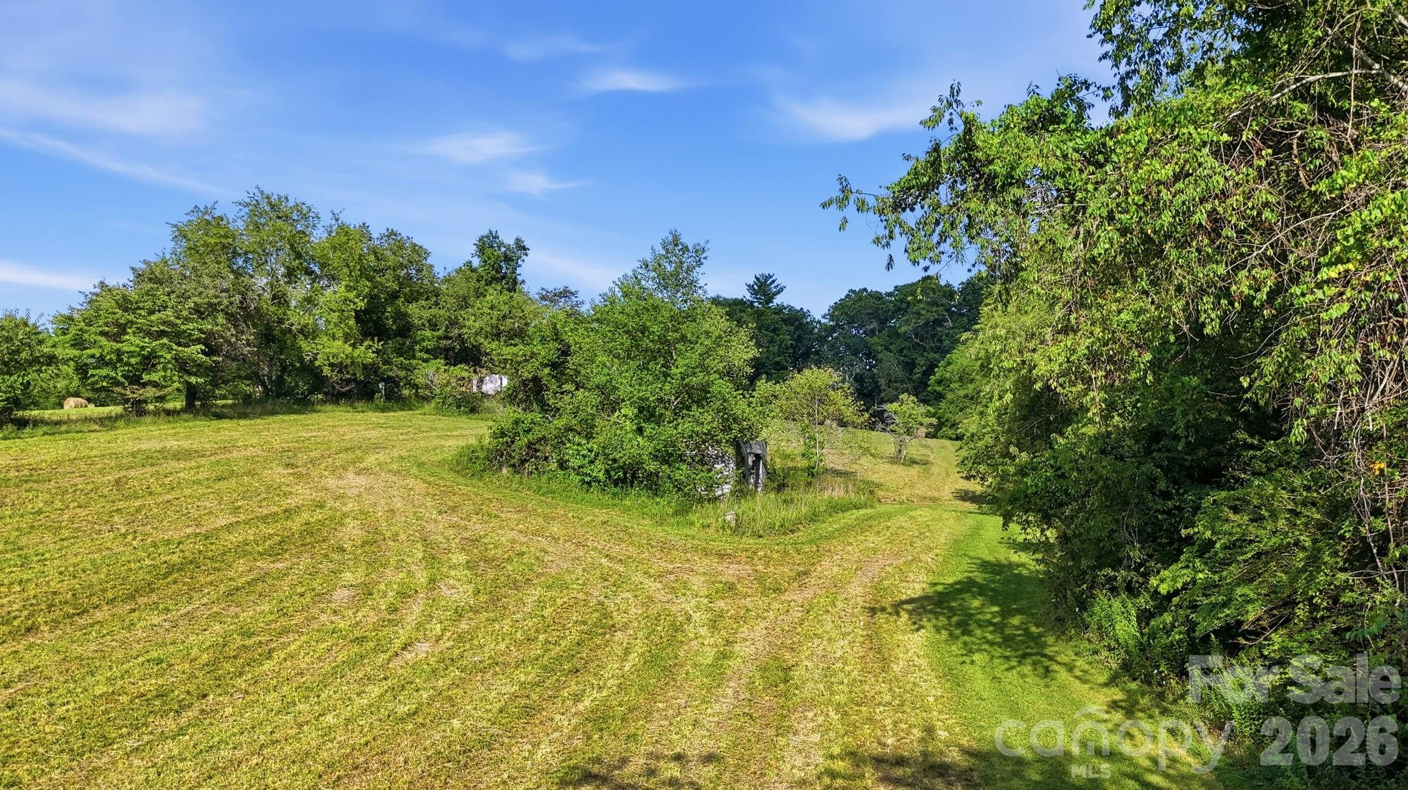 1686 Dutch Cove Road Canton, NC 28716 - Photo 37 of 48 Gallery Image 37