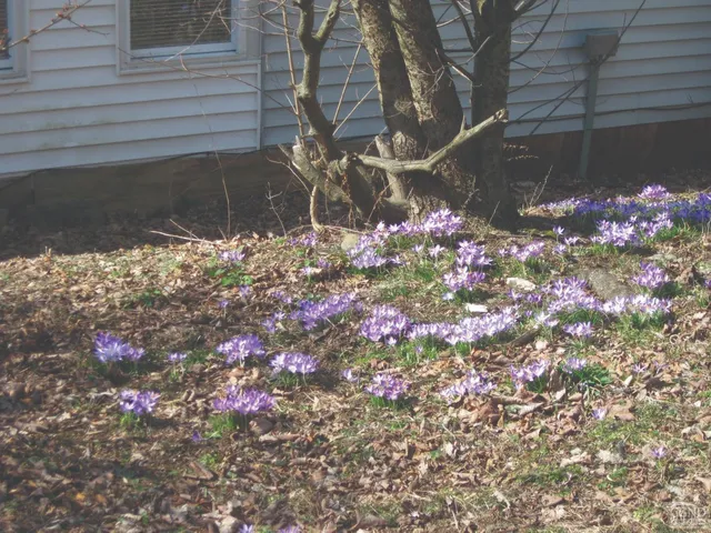 $1,450 | 17 Elm Street, Unit A, Philmont, NY 12565