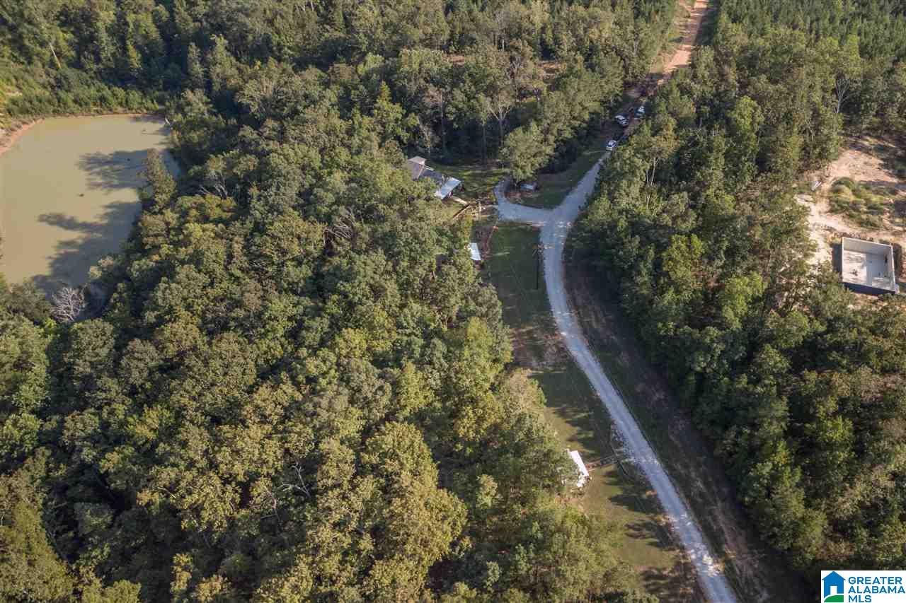 8488 Horseshoe Creek Road Cottondale, AL 35453 - Photo 31 of 34