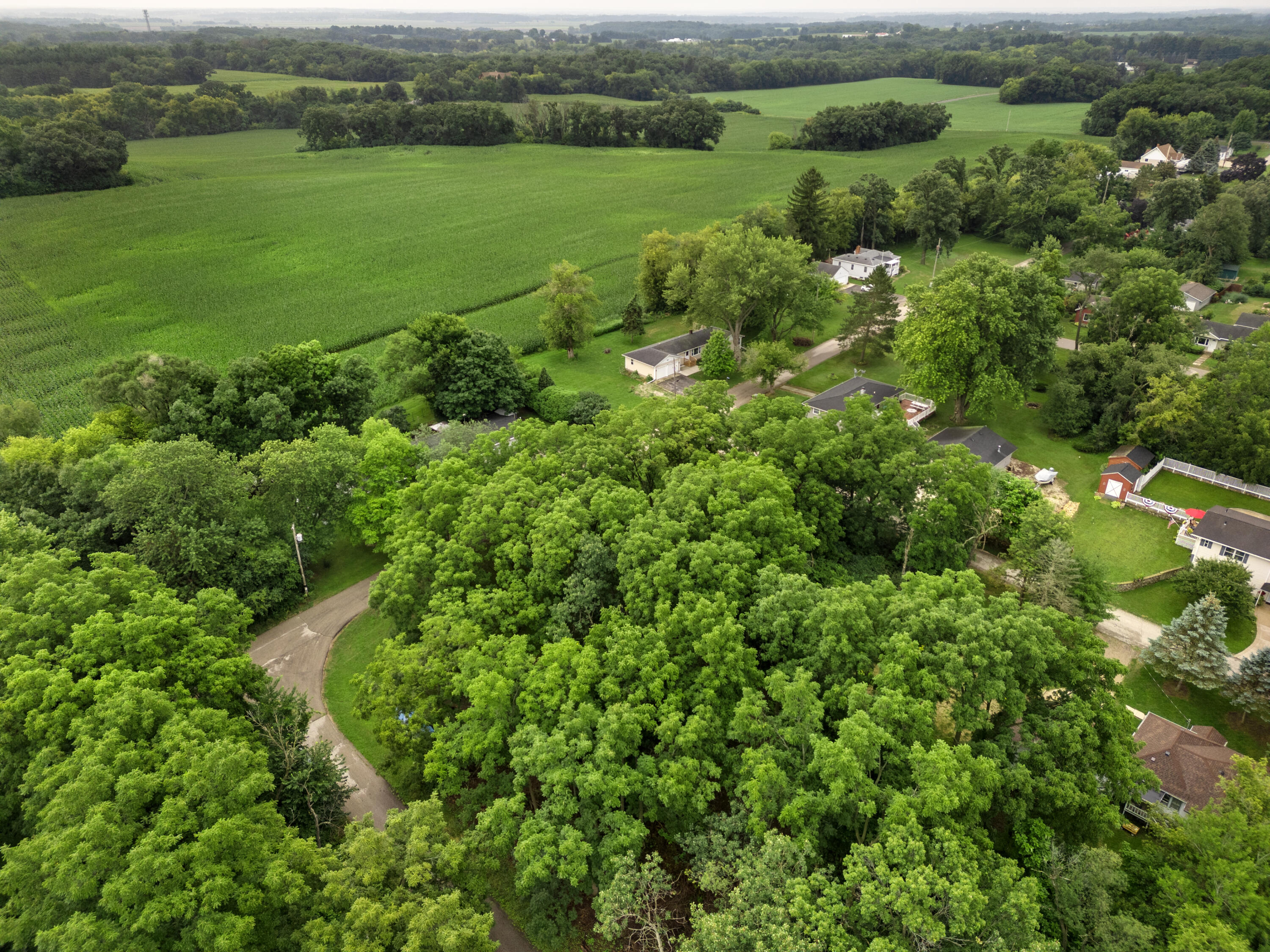 Lt12 Walnut Road, Unit LT13 LT14 LT15 Delavan, WI 53115 - Photo 7 of 9 8-DJI_0156