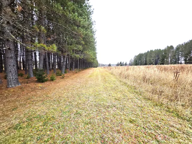$150,000 | M02-l026 McIntyre Road, Unit MAP 02 LOT 026, Woodland, ME 04736