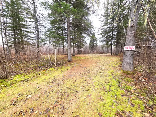 $150,000 | M02-l026 McIntyre Road, Unit MAP 02 LOT 026, Woodland, ME 04736