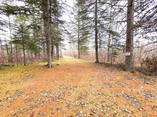 $150,000 | M02-l026 McIntyre Road, Unit MAP 02 LOT 026, Woodland, ME 04736