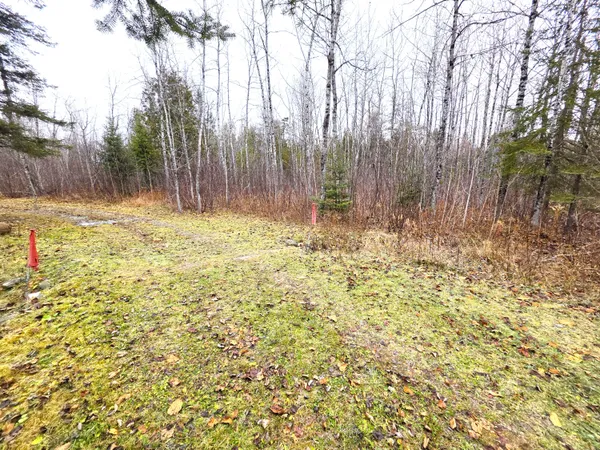 $150,000 | M02-l026 McIntyre Road, Unit MAP 02 LOT 026, Woodland, ME 04736