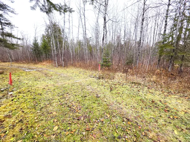 $150,000 | M02-l026 McIntyre Road, Unit MAP 02 LOT 026, Woodland, ME 04736