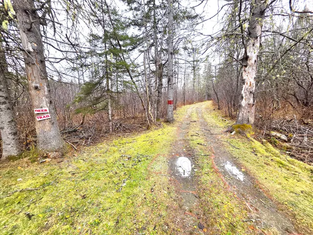 $150,000 | M02-l026 McIntyre Road, Unit MAP 02 LOT 026, Woodland, ME 04736