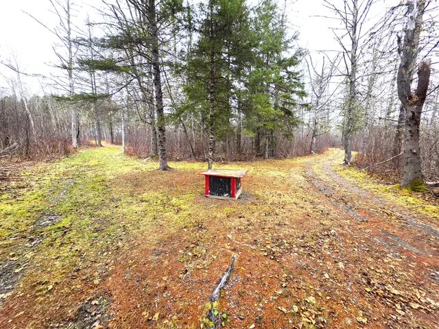 $150,000 | M02-l026 McIntyre Road, Unit MAP 02 LOT 026, Woodland, ME 04736