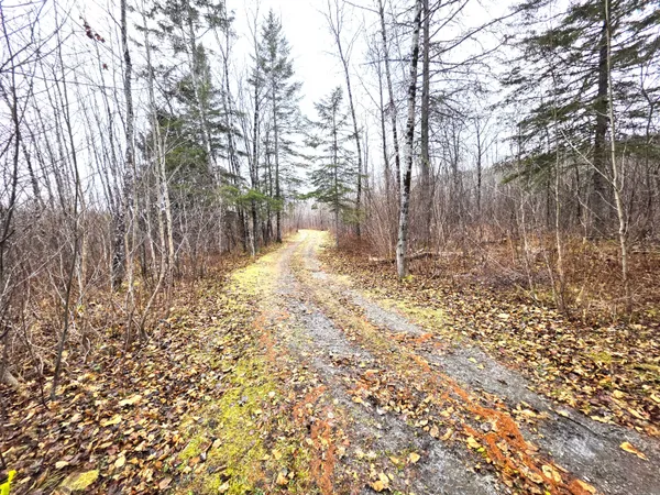 $150,000 | M02-l026 McIntyre Road, Unit MAP 02 LOT 026, Woodland, ME 04736