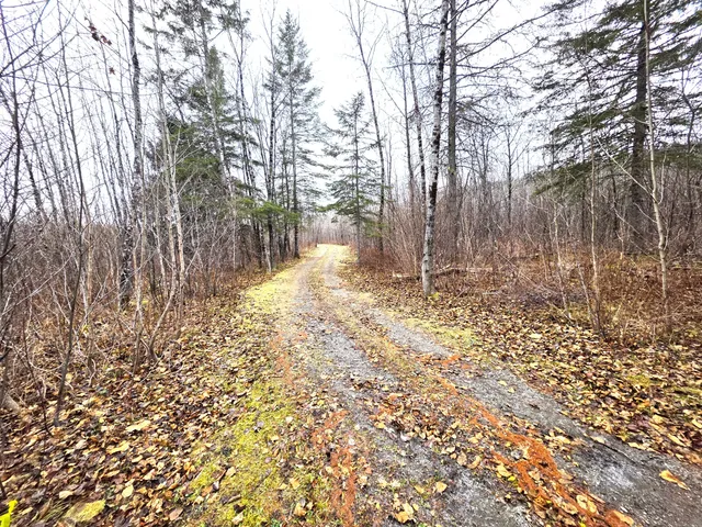 $150,000 | M02-l026 McIntyre Road, Unit MAP 02 LOT 026, Woodland, ME 04736