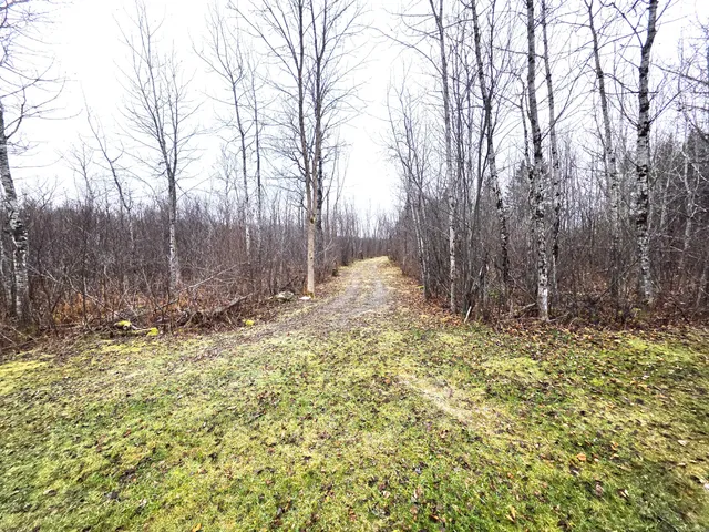 $150,000 | M02-l026 McIntyre Road, Unit MAP 02 LOT 026, Woodland, ME 04736