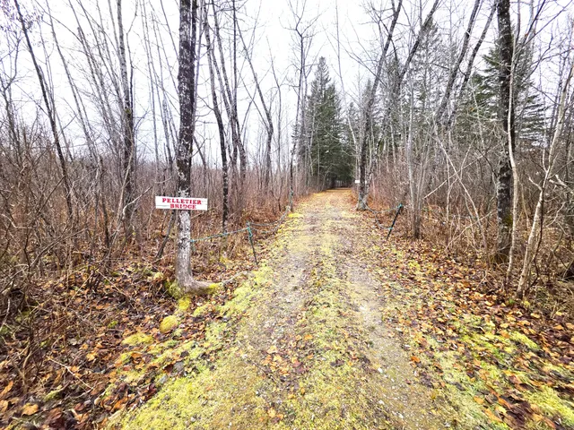 $150,000 | M02-l026 McIntyre Road, Unit MAP 02 LOT 026, Woodland, ME 04736