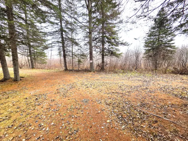 $150,000 | M02-l026 McIntyre Road, Unit MAP 02 LOT 026, Woodland, ME 04736