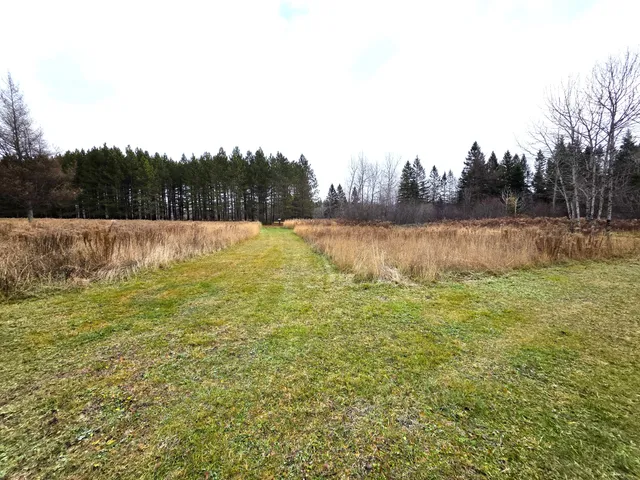 $150,000 | M02-l026 McIntyre Road, Unit MAP 02 LOT 026, Woodland, ME 04736
