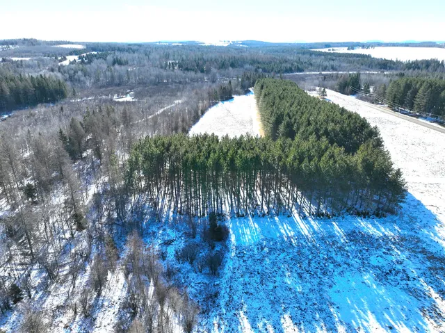 $150,000 | M02-l026 McIntyre Road, Unit MAP 02 LOT 026, Woodland, ME 04736