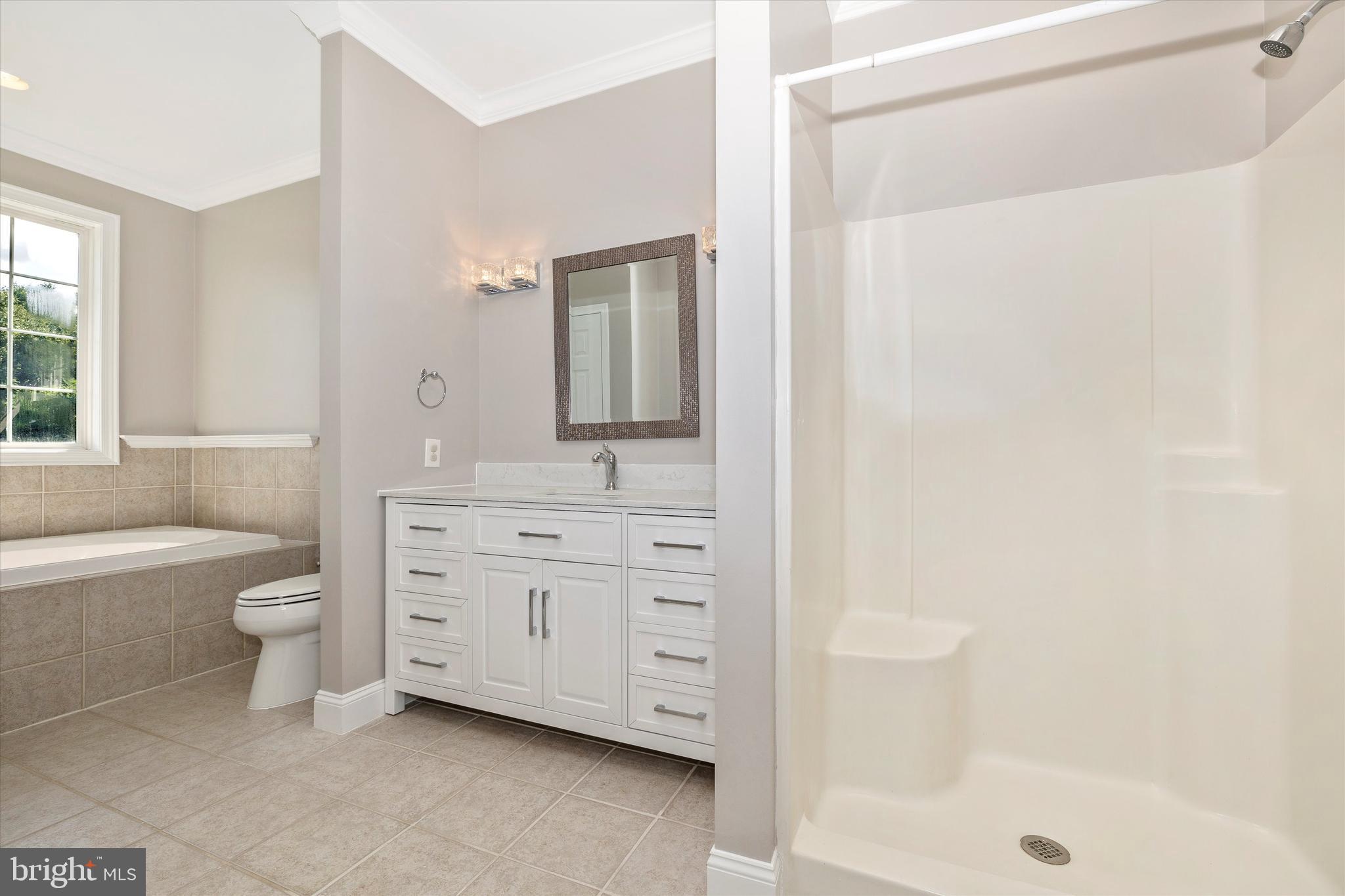 11129 Liberty Road Frederick, MD 21701 - Photo 18 of 44 New garden tub and bathroom facilities