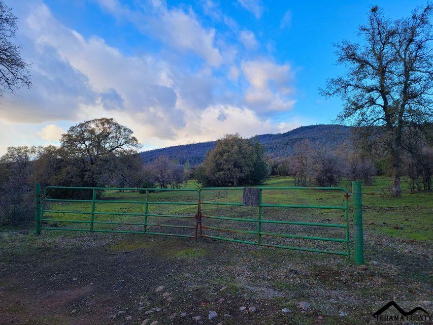 Battle Creek Bottom Road Manton, CA 96059 - Photo 10 of 27 Gallery Image 10