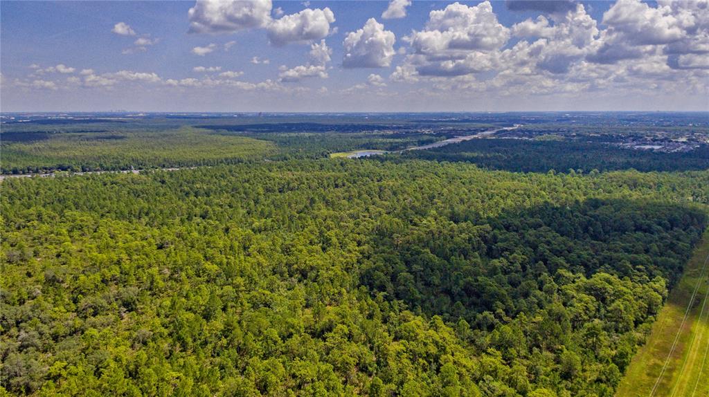 South Apopka Vineland Road Orlando, FL 32821 - Photo 7 of 10